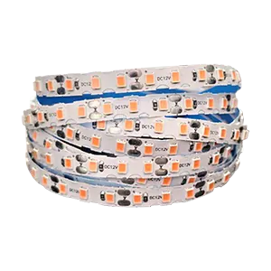 LED pásek vnitřní 12V Sytě růžová